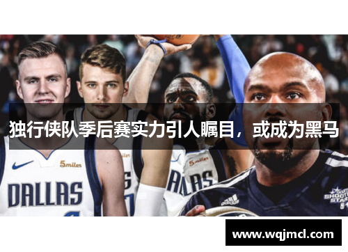 独行侠队季后赛实力引人瞩目，或成为黑马